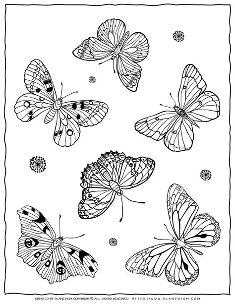 Butterfly Coloring Pages | Free printable | Planerium