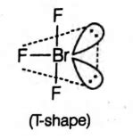 The structure of BrF3 is - Tardigrade
