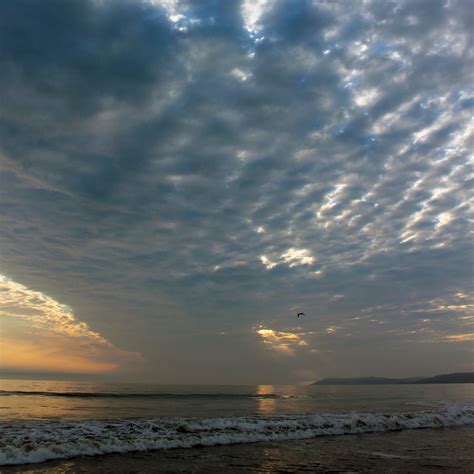 Morro Bay Dog Beach - emdot