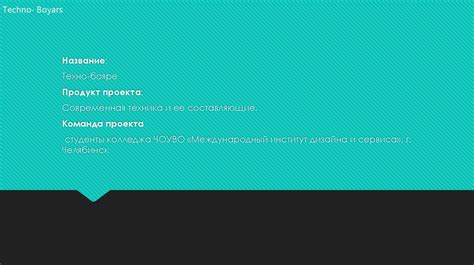 Наша команда Techno- Boyars - презентация онлайн