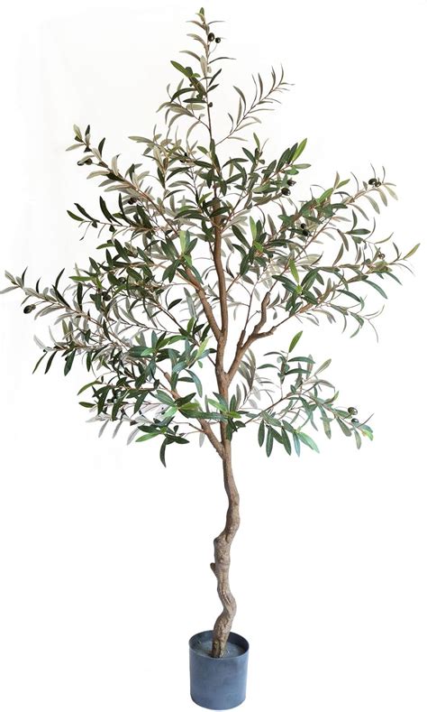 Mulberry Lane Co. 6FT Faux Olive Tree— Olive Trees Artificial Indoor ...