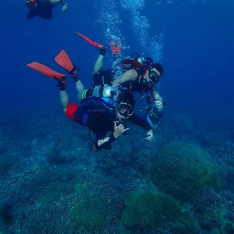 ISLAND DIVER - BANTAYAN ISLAND (2026) All You Need to Know BEFORE You ...