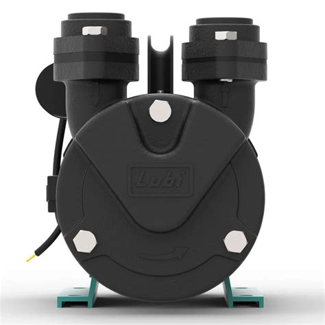 Lubi Pumps | Self Priming Monoblock Pumps (MDH, MDL & VIRAT Series)