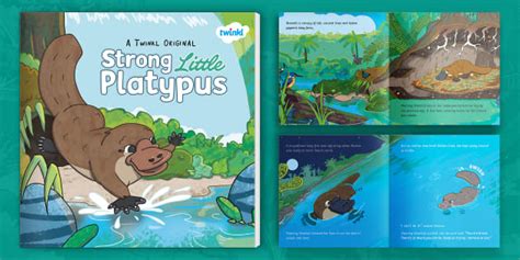 Fab Five Character Brainstorming Activities | twinkl