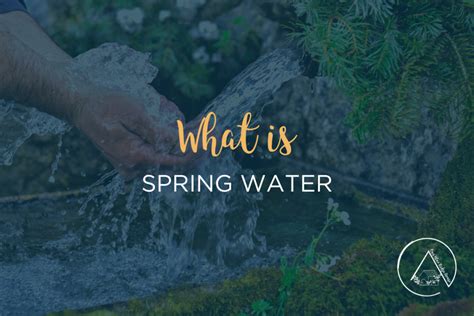 Image result for Types of Water Spring Facts