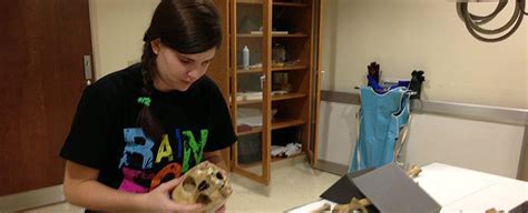 Image result for University Forensic Science Programs