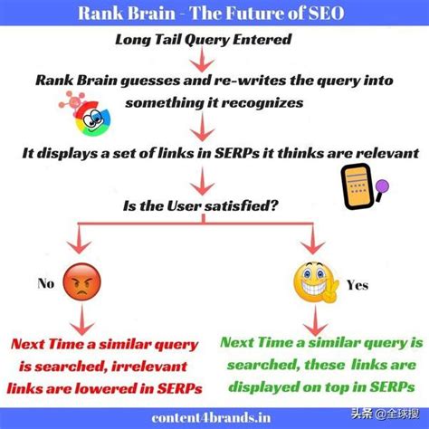 谷歌seo怎么优化（未来seo的发展趋势）-8848SEO