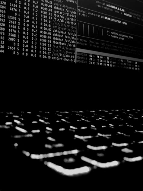 Codes Hacking 的图像结果