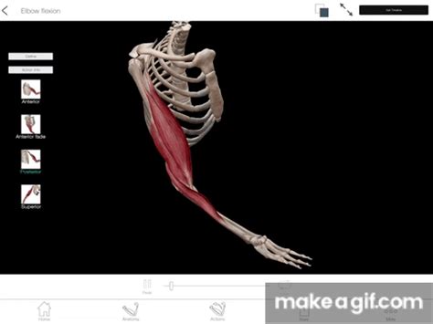 Image result for Codean