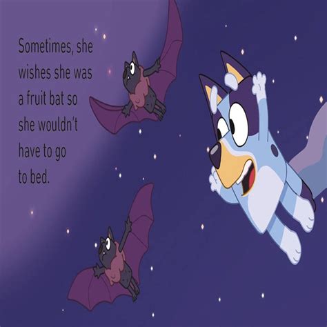 Bluey : Little Library — Toycra