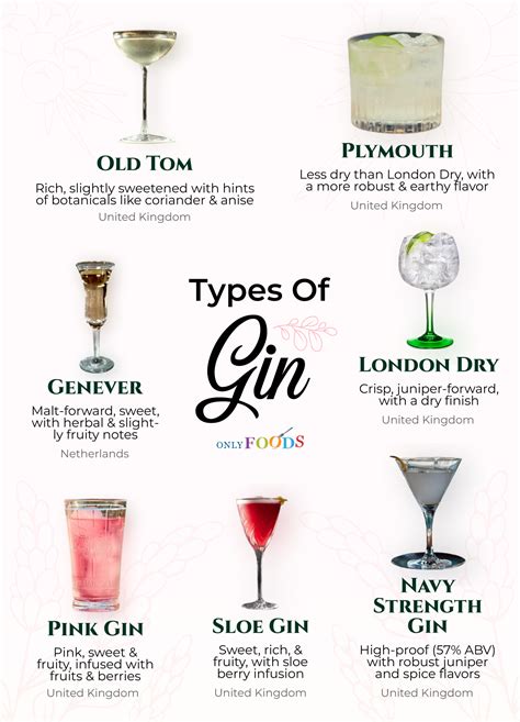 List of the Different Types of Gin & the Best Ways to Drink Them