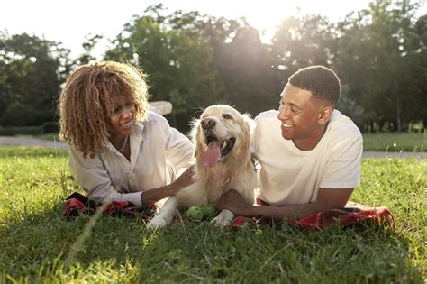 The Ultimate Guide to Pet Insurance | Odie Pet Insurance