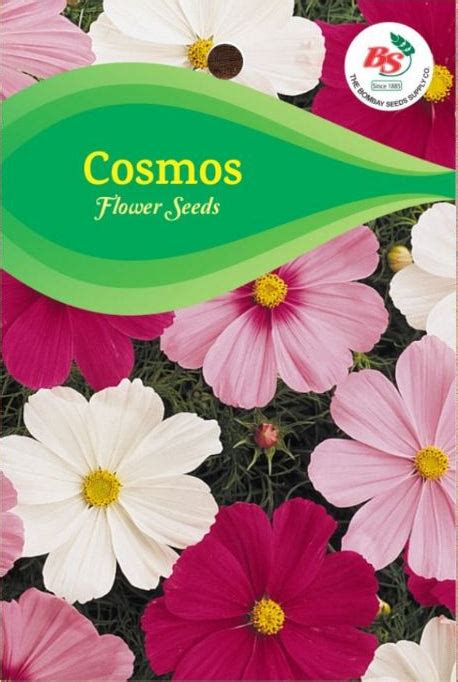 Flower Seeds – Bombay Seeds