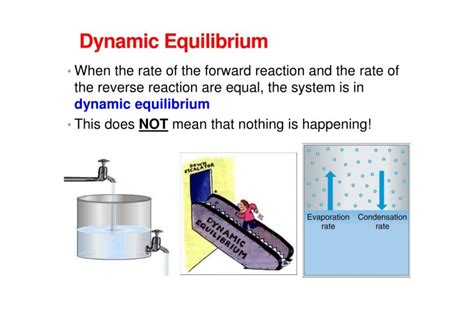 Image result for Dynamic Equilibrium Graph