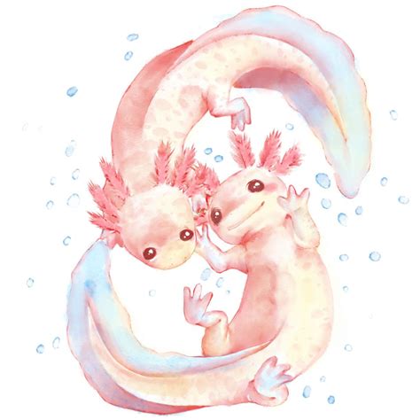 Adorable Axolotls Wallpapers - Wallpaper Cave
