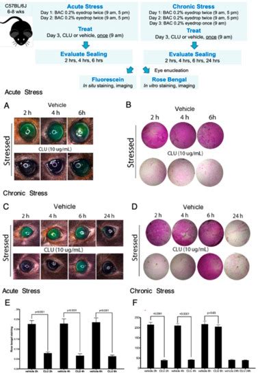 Recombinant Human Clusterin Seals Damage to the Ocular Surface Barrier ...