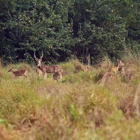 Khulna Division Tourism (2024): All You Need to Know Before You Go