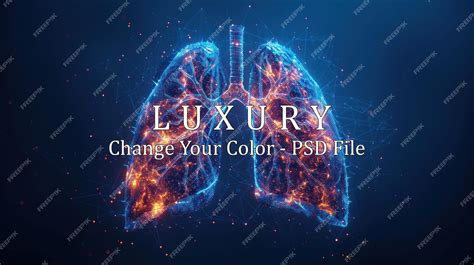 Premium PSD | Human lungs Internal respiratory organ