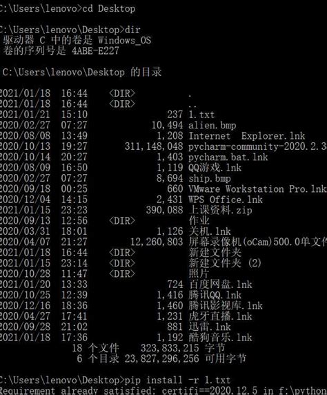 Install Pip From PyCharm 的图像结果
