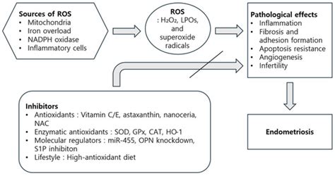 Expression of Free Radicals and Reactive Oxygen Species in ...