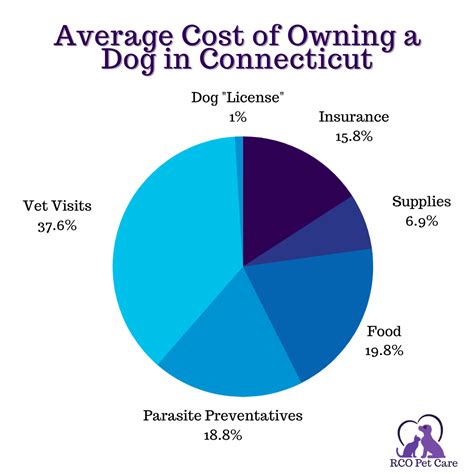 The Average Annual Cost of Owning a Dog in Connecticut - RCO Pet Care