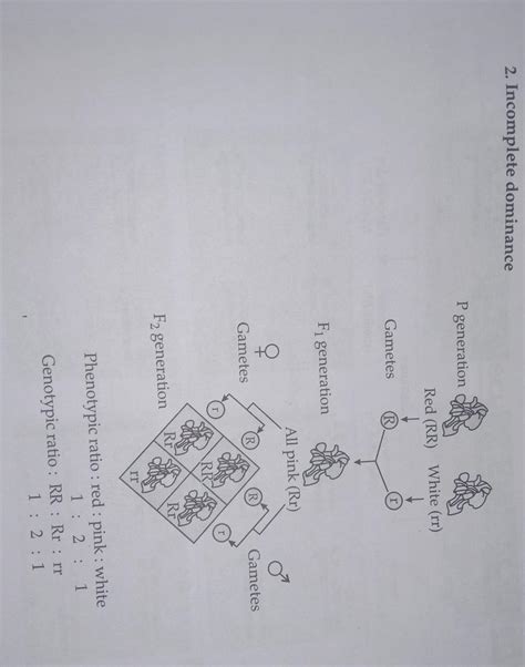 4. If both genotype and phenotype shows the same ratios of 1:2:1 in the ...