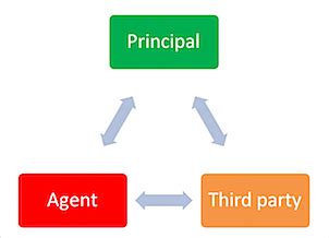 Law of Agency 的图像结果