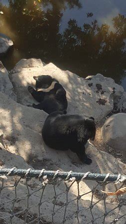 Dalian Forest Zoo - 2019 What to Know Before You Go (with Photos ...