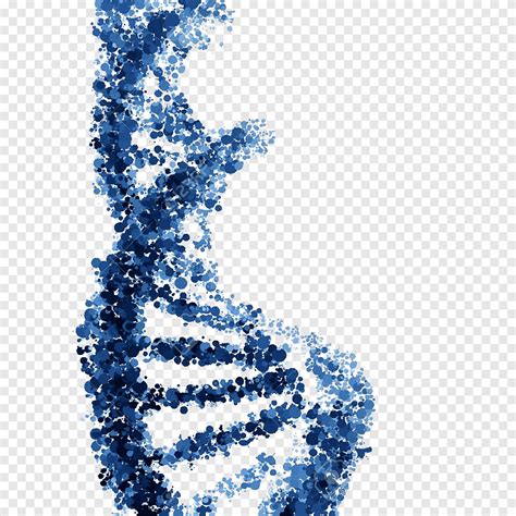 Free download | Nucleic acid double helix DNA, blue, dna png | PNGEgg