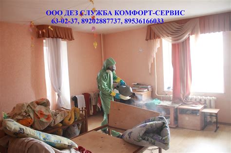 ХОЛОДНЫЙ ТУМАН. Обработка столовой от тараканов холодным туманом. ООО ...