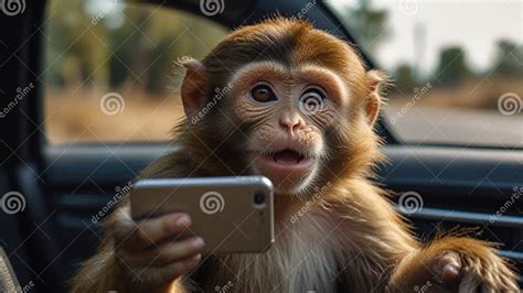 Image result for Monkey Using Cell Phone
