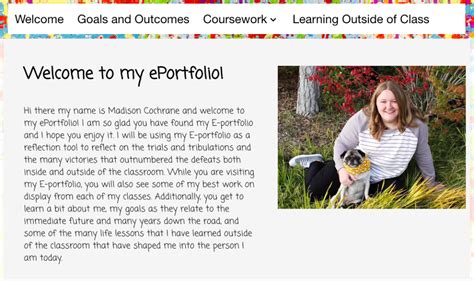 Image result for ePortfolio Example