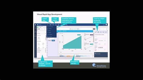 Dedoose Tutorial 的图像结果