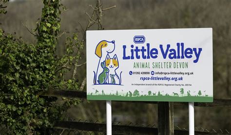 Summer Fayre & Dog Show!, RSPCA Little Valley Animal Shelter, Bakers ...