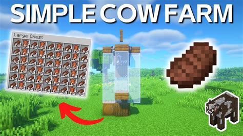 Image result for Minecraft 1.19 Farm Tutorials