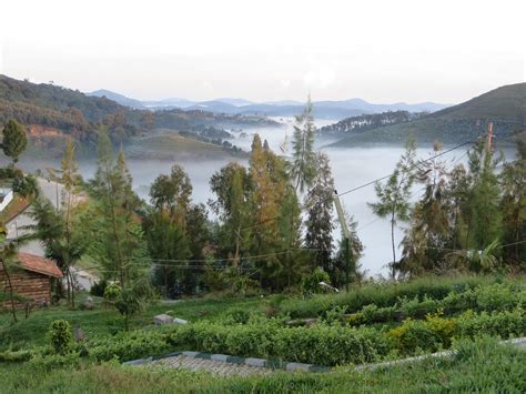 Nyungwe Nziza Ecolodge Restaurant: Pictures & Reviews - Tripadvisor