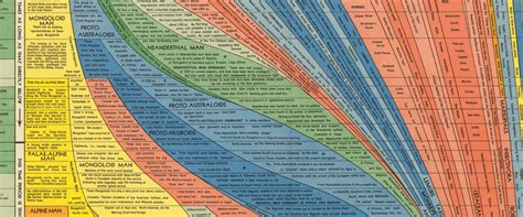 Map Evolution 的图像结果