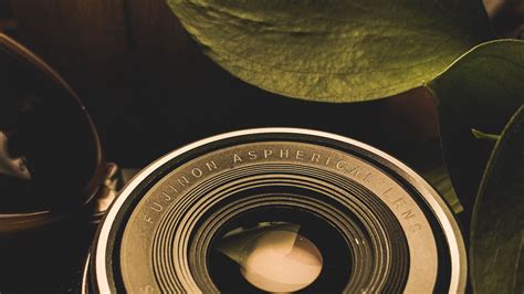 Download wallpaper 2560x1440 lens, leaves, dark widescreen 16:9 hd ...