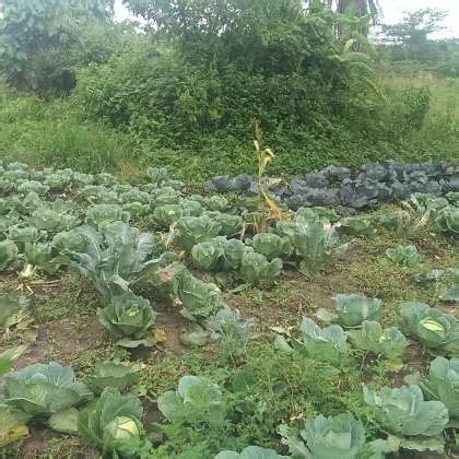 Holland Greentech Office Photos | Glassdoor