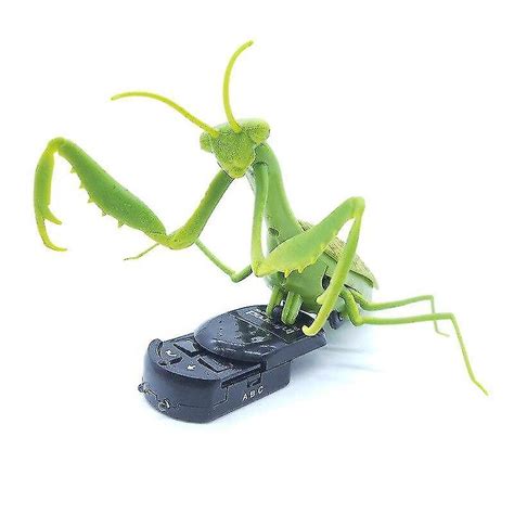 Image result for Remote Control Insects