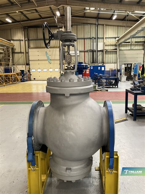 Trillium Flow Technologies on LinkedIn: Double seated control valves ...