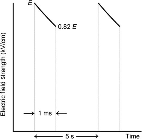 Image result for Exponential Decay Waveform