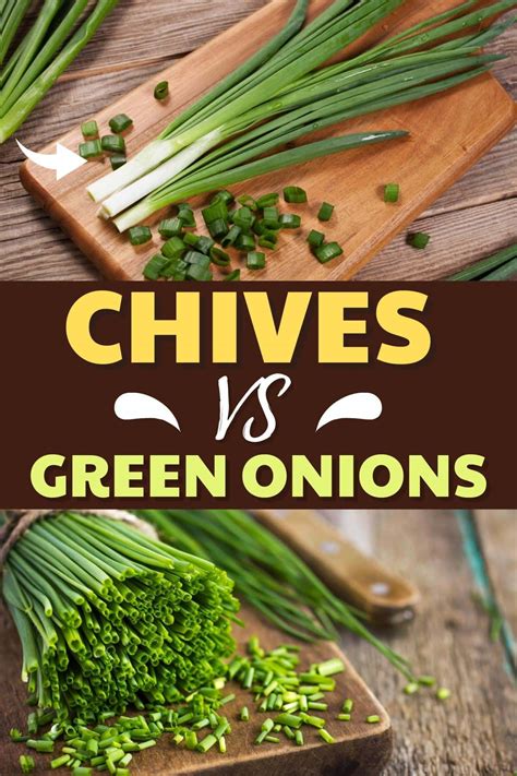 Chives vs. Green Onions (Here's the Difference) - Insanely Good