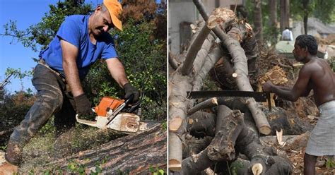 With The Amazon Rainforest On Fire, Here Are 5 Facts Warning Us That ...