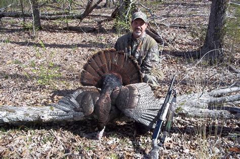 Turkey Hunting Tips 的图像结果