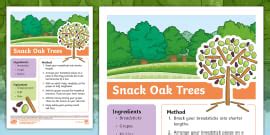 What is an oak tree? | Twinkl Teaching Wiki - Twinkl