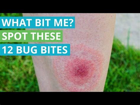 Image result for Alienware Moniter 360Hz