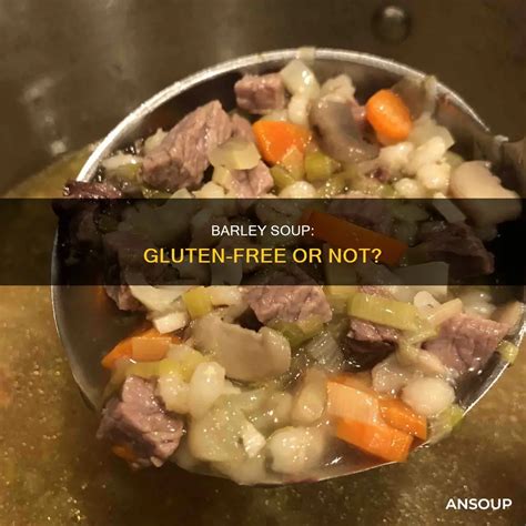 Barley Soup: Gluten-Free Or Not? | AnSoup