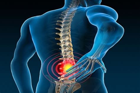 Home / Rehabilitation Services / Spine Injury Rehabilitation