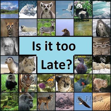 全球野生动物44年间消亡60% 人类活动系生物多样性最大威胁 - 慧科网-江苏科普云